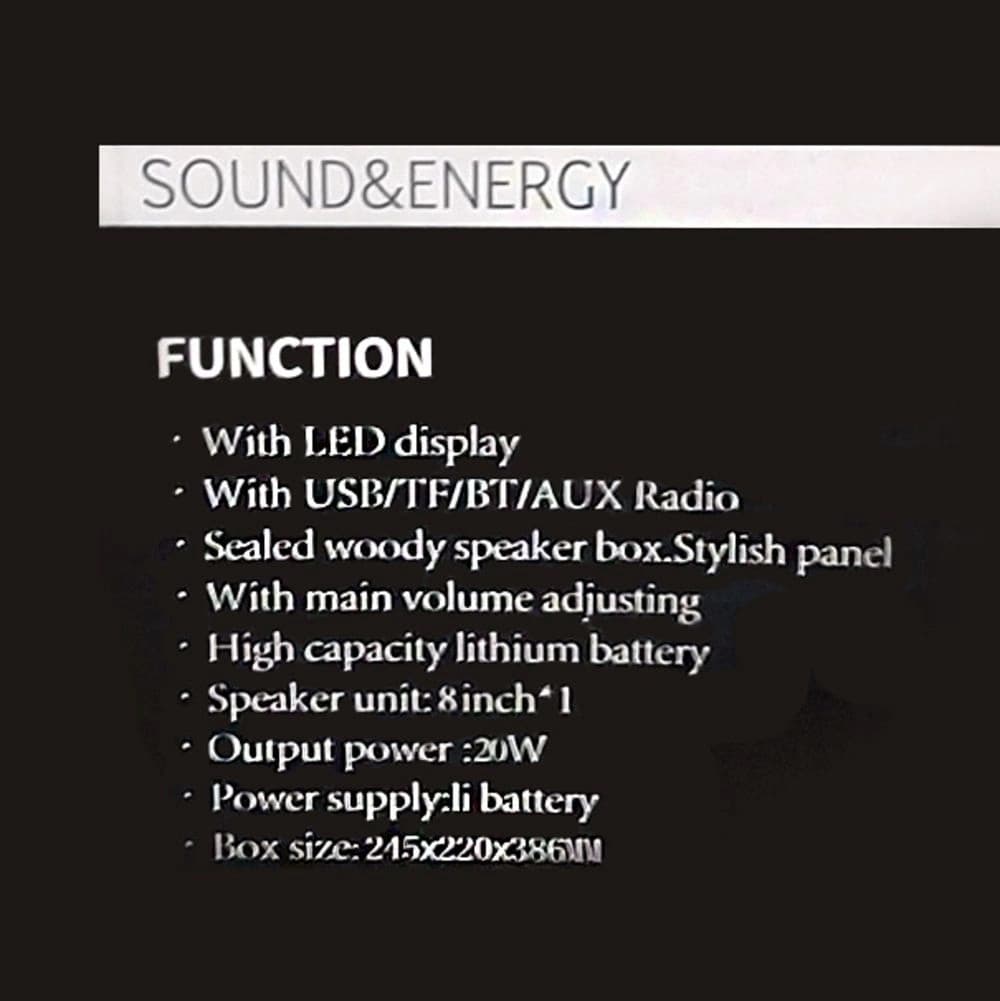 "bluetooth Zvucnik Ttd-8251 8""" - slika 3